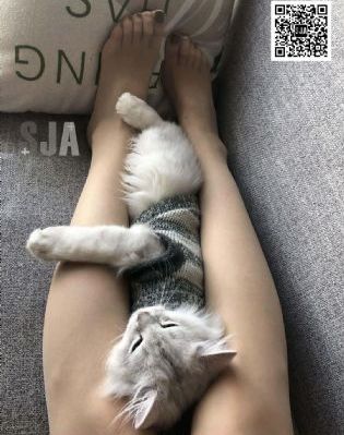 娇妻跟小黄3p做爰_剧情片完整在线观看