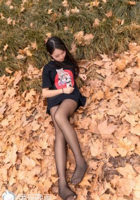 燕双鹰50集免费_剧情片电影在线看