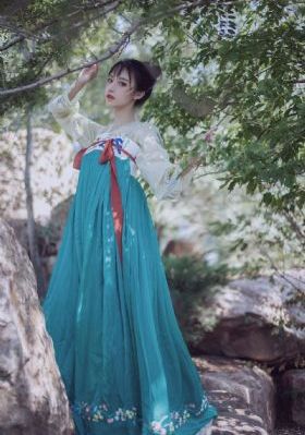 君子好逑电影_高清在线播放观看